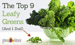 The Top 9 Leafy Greens (And 1 Dud)