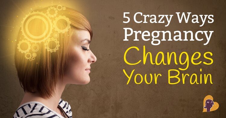 Scientific Proof That Pregnancy Brain Is Real Scientific Proof That Pregnancy Brain Is Real