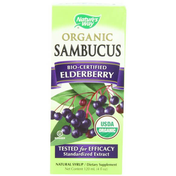 Nature's Way Organic Sambucus Syrup