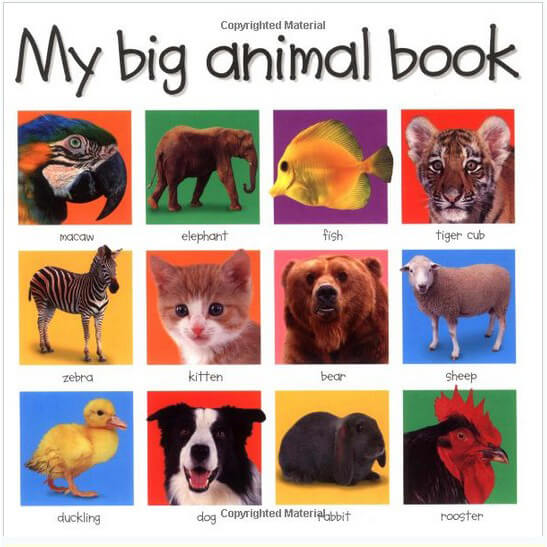 My Big Animal Book