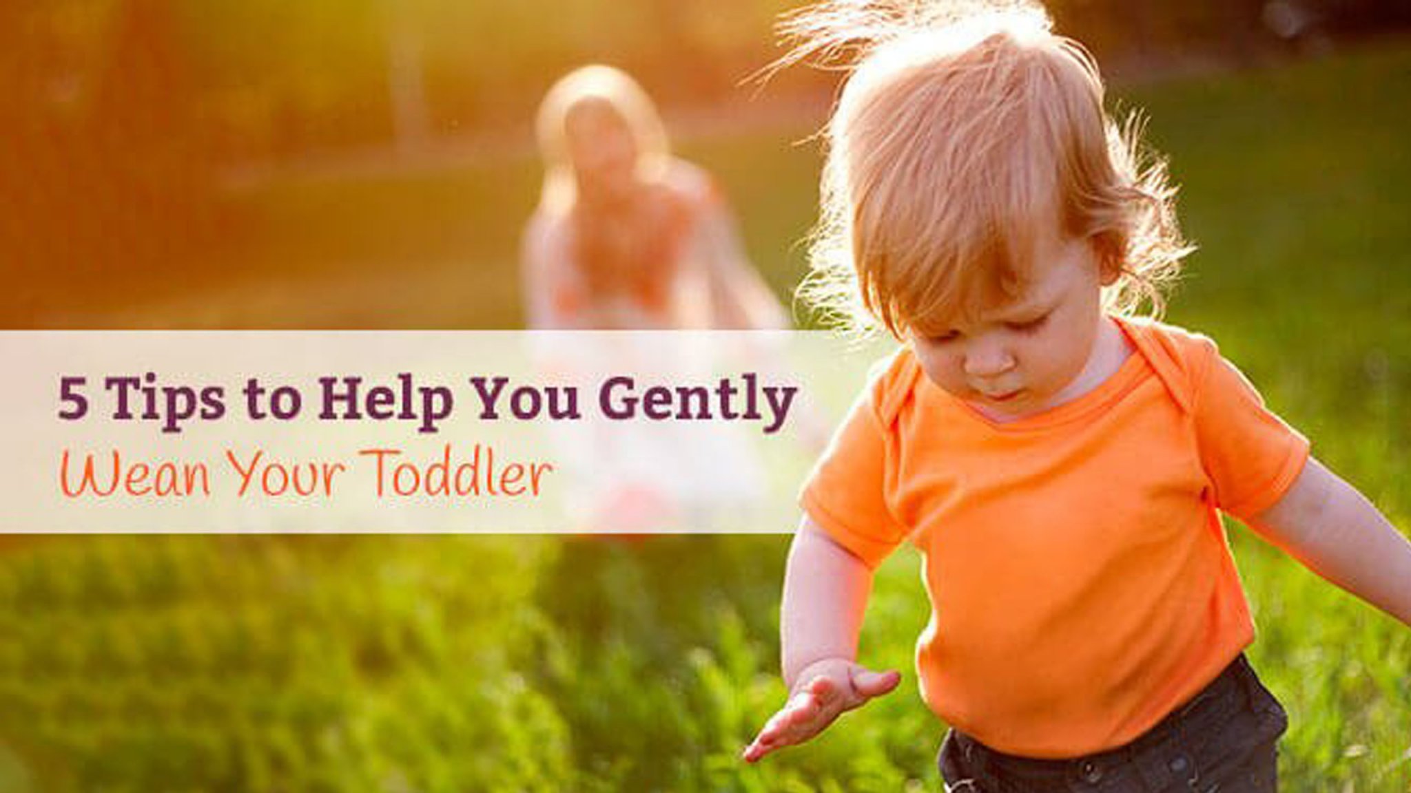 Weaning Toddler 5 Easy & Natural Tips