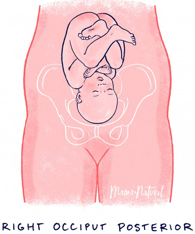 Lot Baby Position