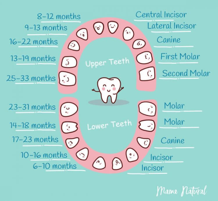 teething at 15 months