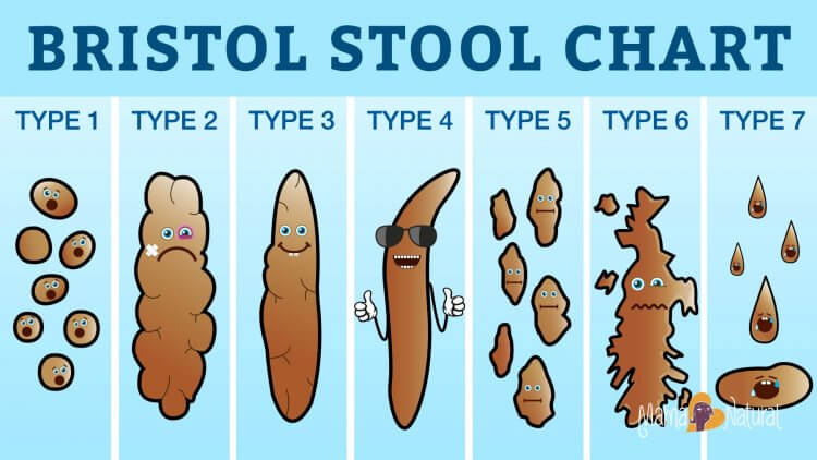 What This Poop Chart Says About Your Health - Sara Regan ...