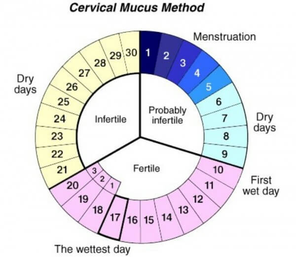 Healthiest Birth Control