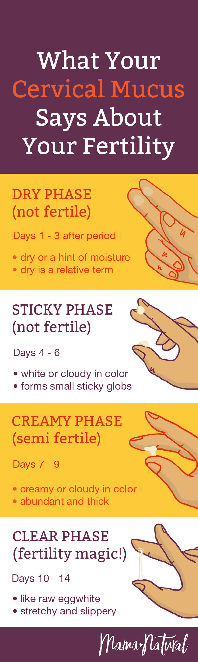 Cervical Mucus Chart Know When Youre Fertile Mama Natural 