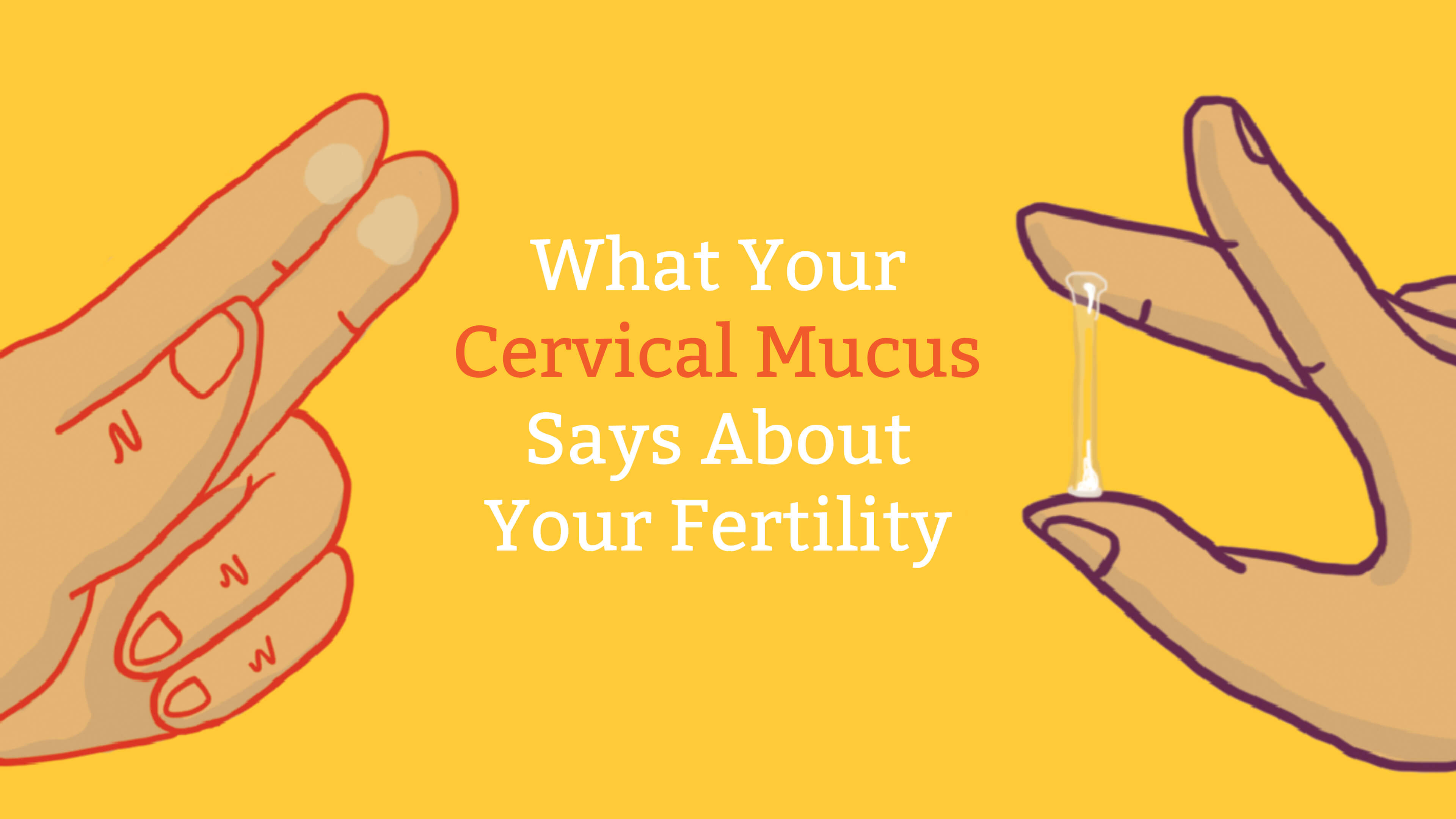 Cervical Mucus Chart Know When Youre Fertile Mama Natural 