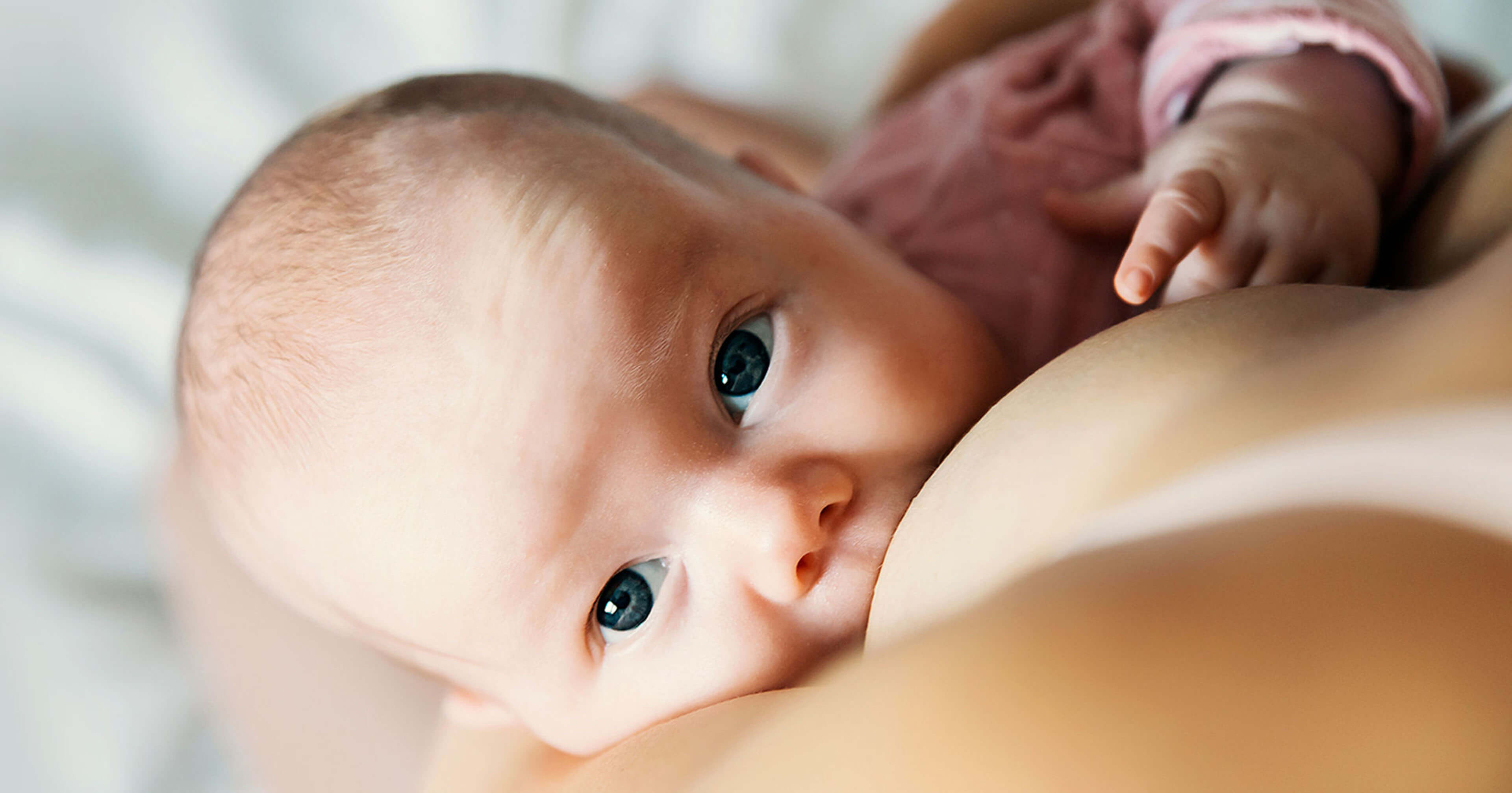 my baby prefers formula to breast milk