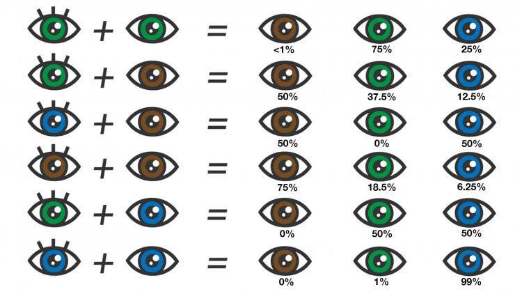 Eye Color Chart- What Color Eyes Will My Baby Have post by Mama Natural