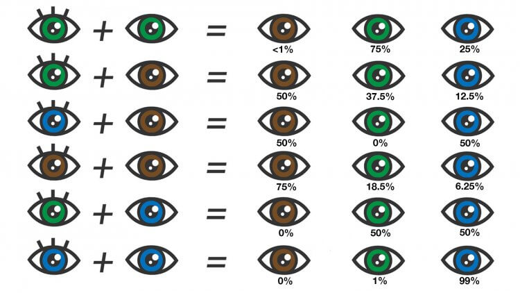 eye shapes chart and names