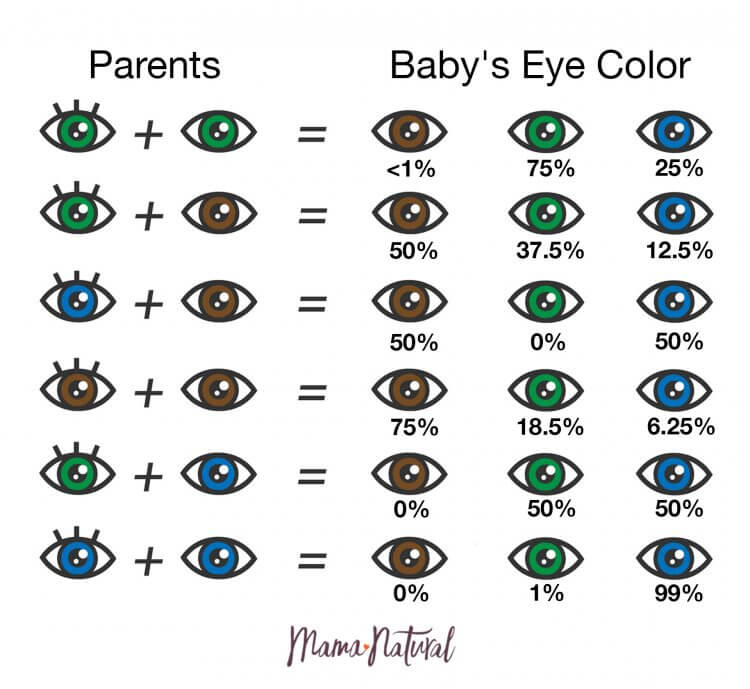 Eye Color Chart: What Color Eyes Will My Baby Have?