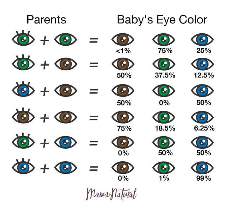 Every Eye Color Chart