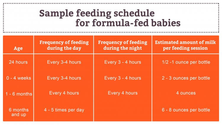 Amount and Schedule of Baby Formula Feedings 