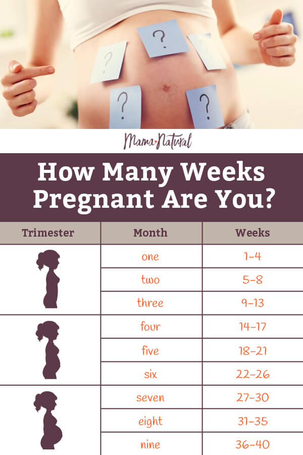 30 Weeks How Many Months Chart