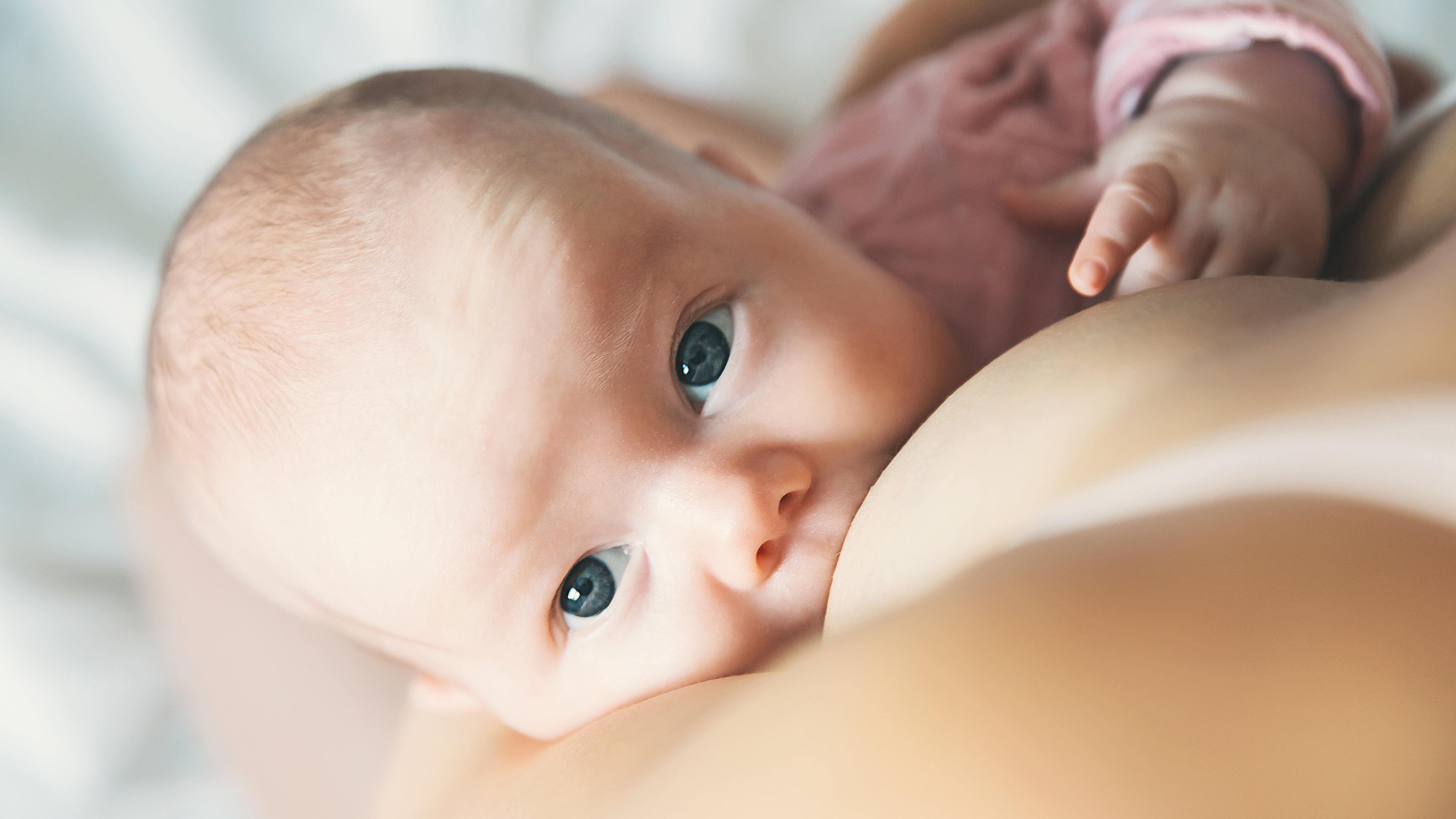 How Often Should a Newborn Eat? (Including Printable Schedules!)