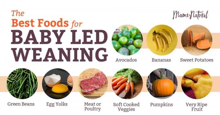 Top 10 Foods for Plant-based Baby Led Weaning - Nora Cooks