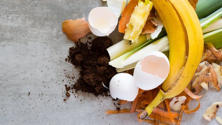 Composting is the best way to grow healthy, nutritious, safe food for our families. But isn’t that just code for cow poop? Nope! You can make your own compost at home, with mostly kitchen scraps and yard waste. Here's more about the benefits of composting and how to get started.