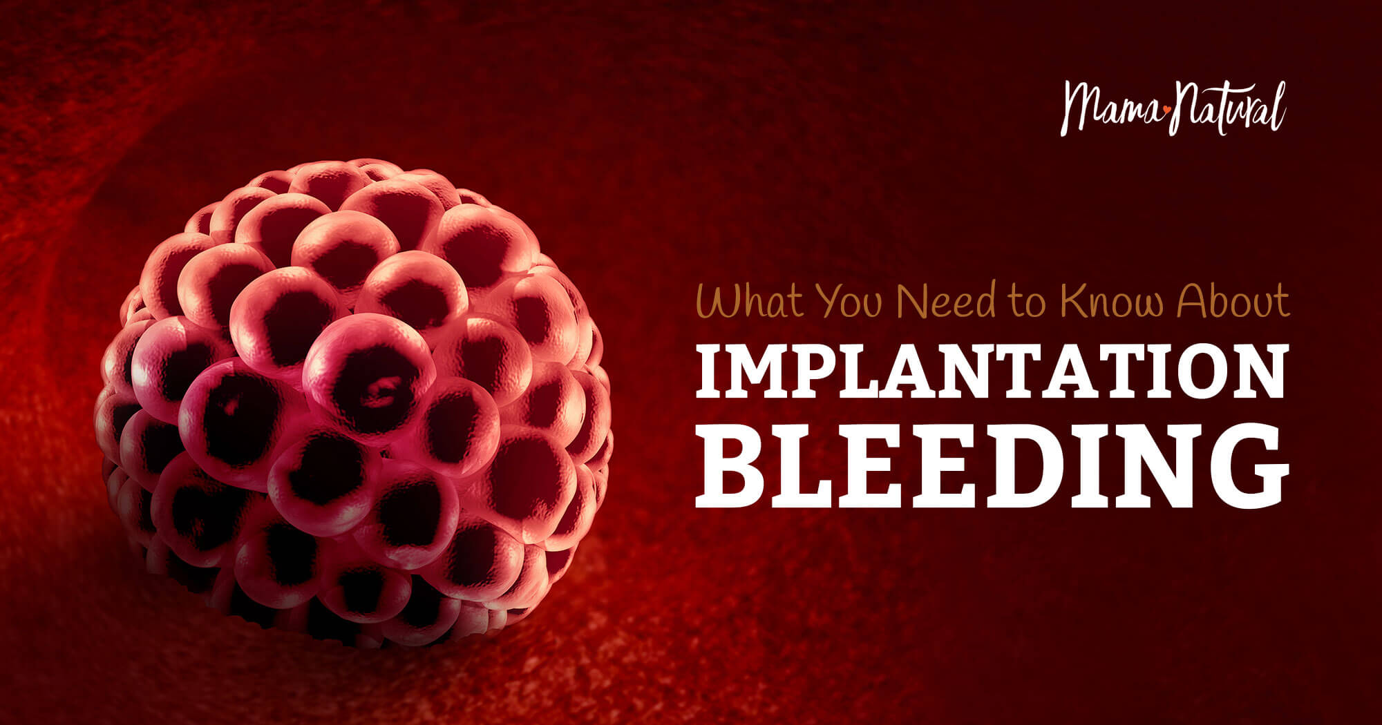 Implantation Bleeding: What It Is and What to Look For (Photos!)