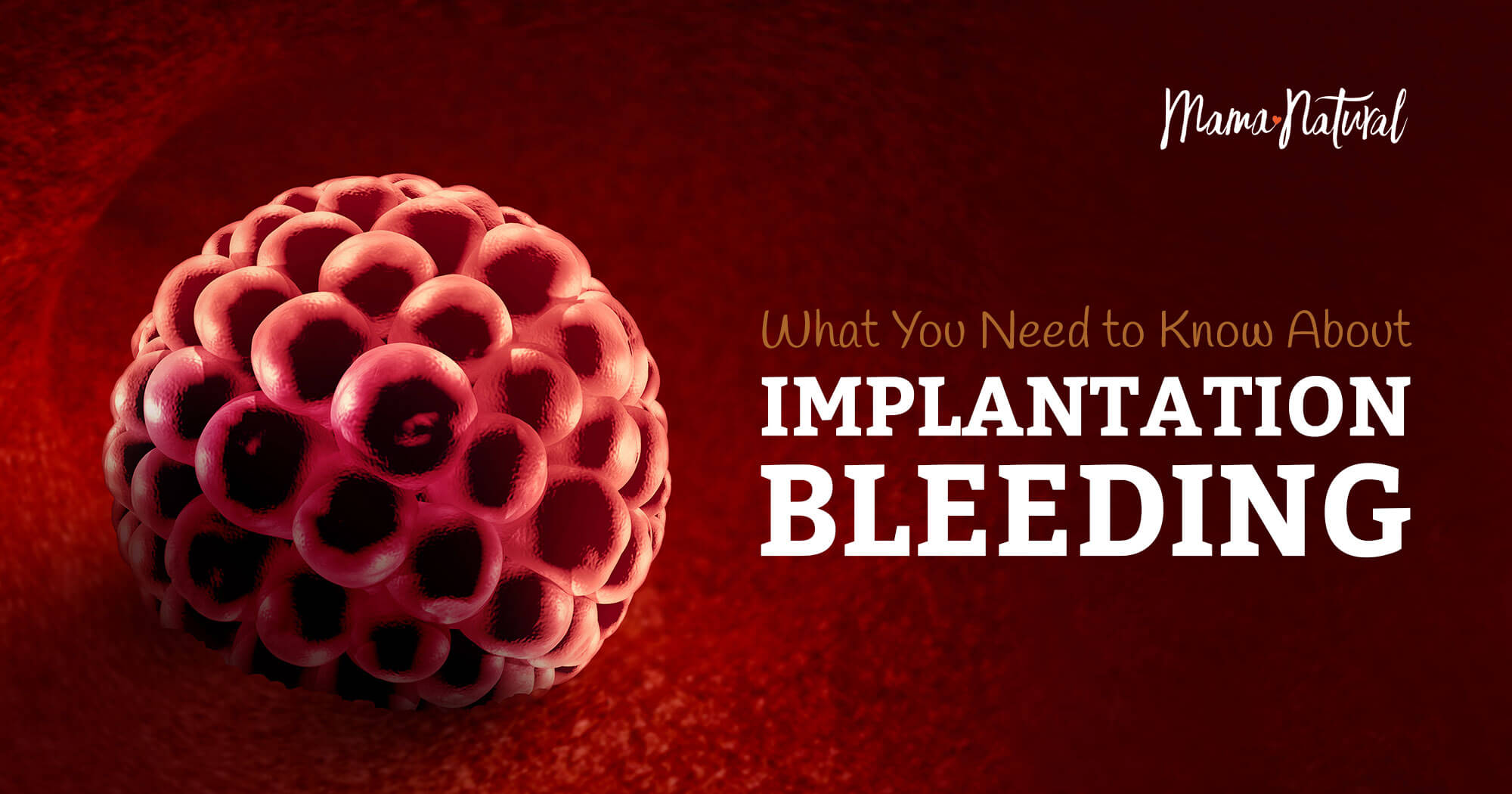 Ovulation Bleeding Warning Pic Trying To Conceive Forums