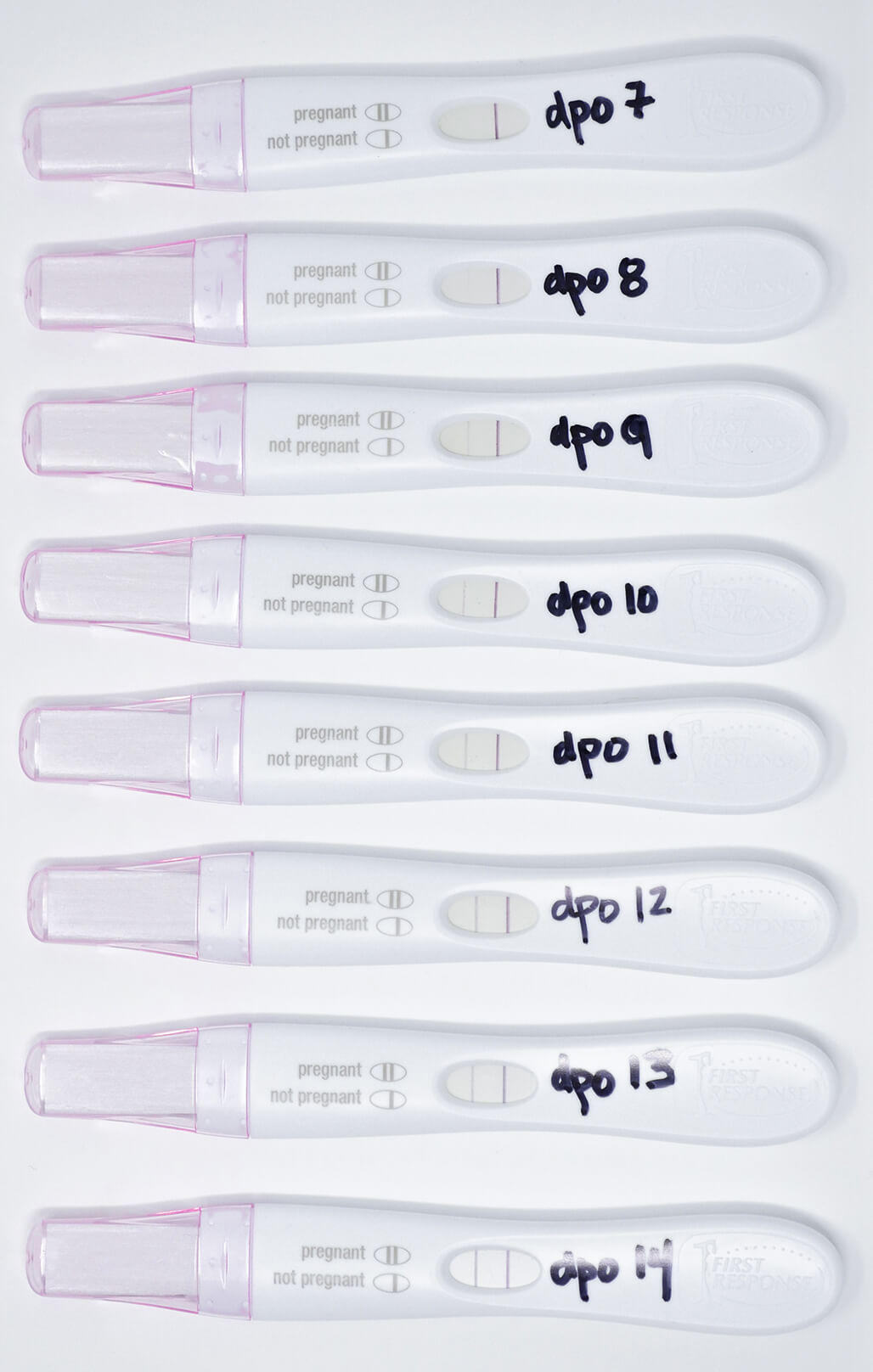 Is Your Positive Pregnancy Test For Real Find Out Now â Mama Natural â Genevieve