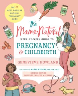 Mama Natural Pregnancy Guide