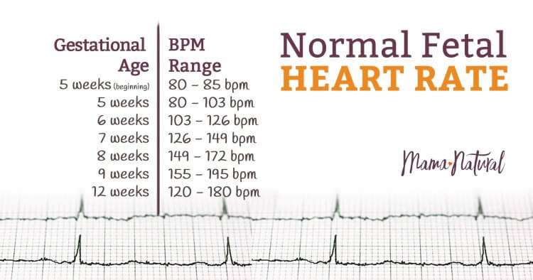 fetal heart rate boy or girl chart