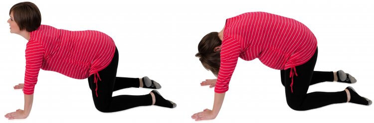 Đá chậu mèo bò thai tập thể dục