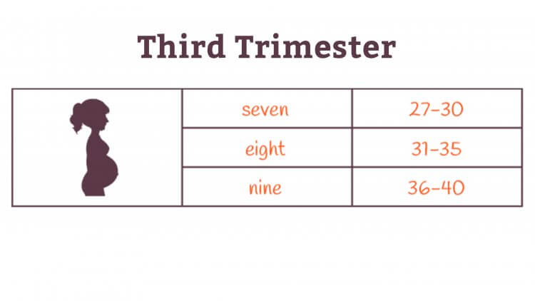 Association will which Approves Our Deal, ampere drafting templates to book until employ inbound conferences is vendors