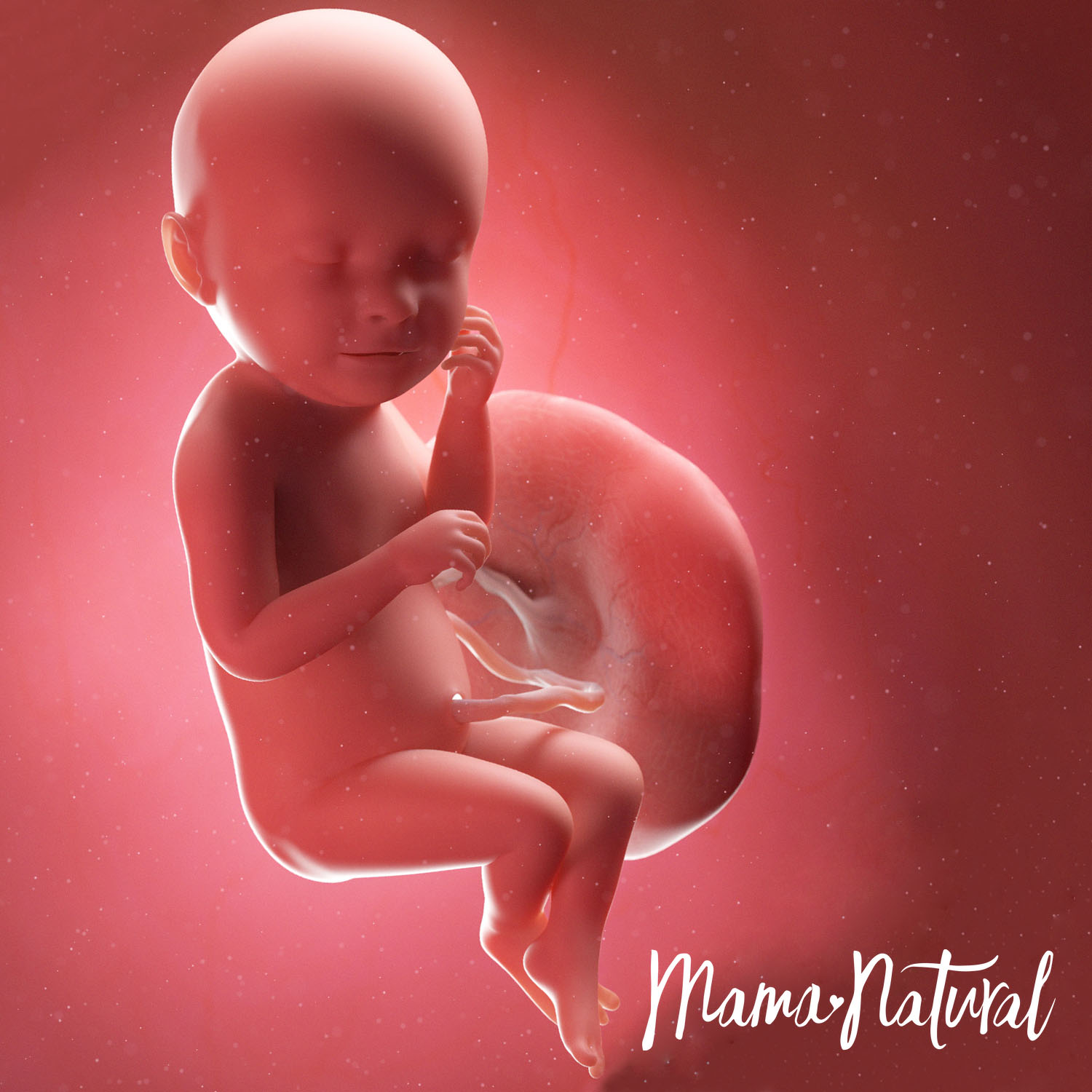 Baby at 38 Weeks Pregnant - Pregnancy Week By Week by Mama Natural