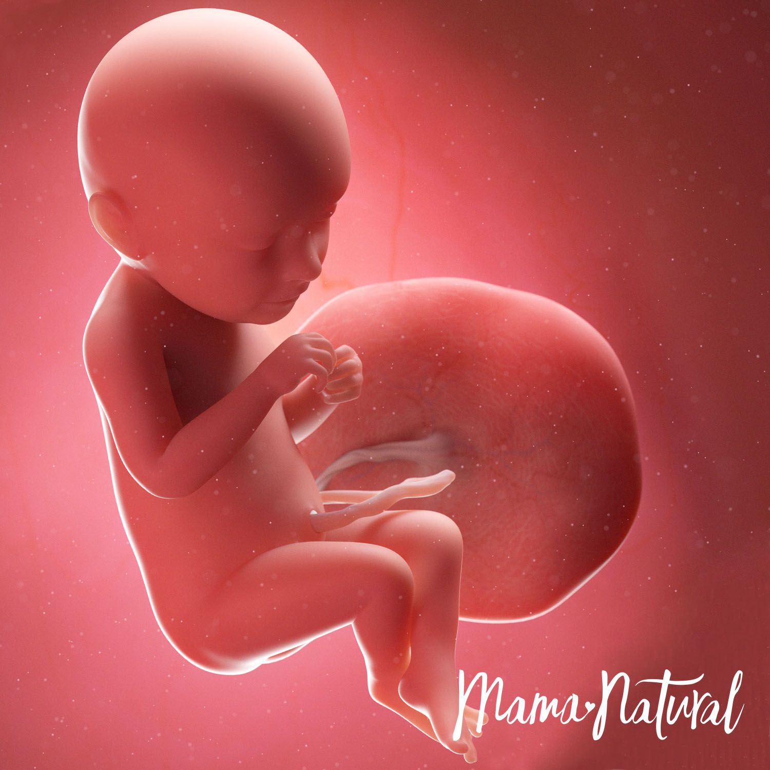 Baby at 39 Weeks Pregnant - Pregnancy Week By Week by Mama Natural
