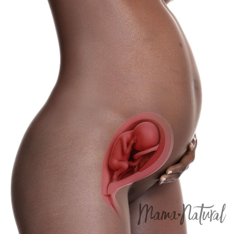 Mom's Body at 23 Weeks Pregnant - Pregnancy Week By Week by Mama Natural