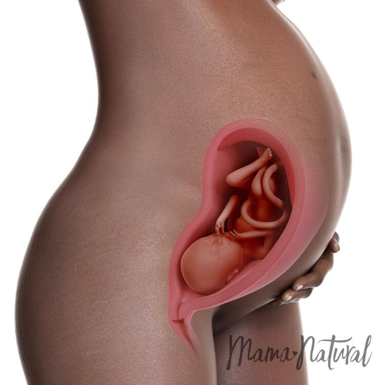 Mom's Body at 29 Weeks Pregnant - Pregnancy Week By Week by Mama Natural