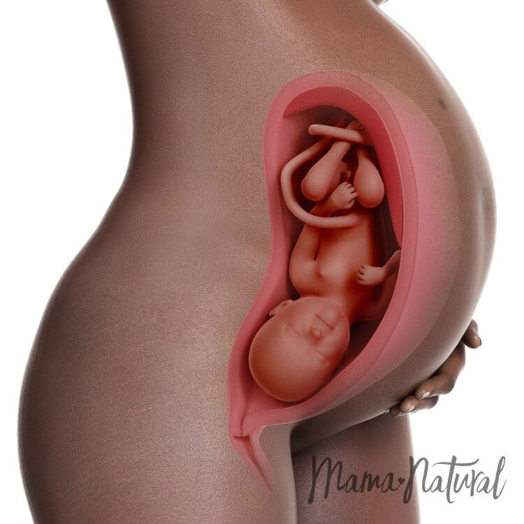 Mom's Body at 35 Weeks Pregnant - Pregnancy Week By Week by Mama Natural