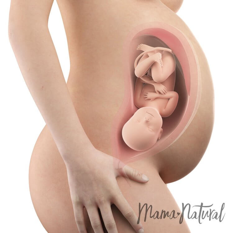 Mom's Body at 39 Weeks Pregnant - Pregnancy Week By Week by Mama Natural