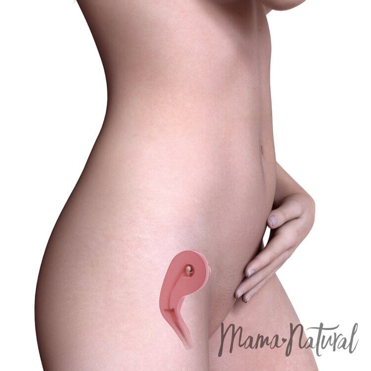 Cơ thể của mẹ khi mang thai 8 tuần - Mang thai từng tuần bởi Mama Natural