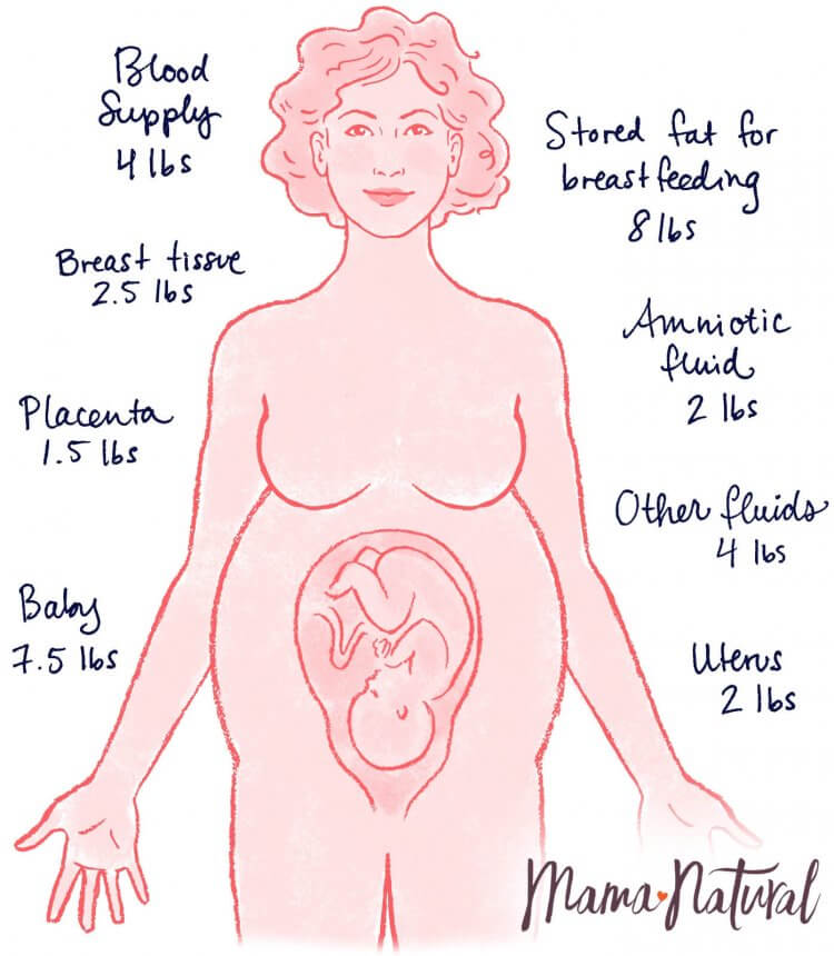 How much weight are you supposed to gain while pregnant The Truth About Pregnancy Weight Gain Mama Natural