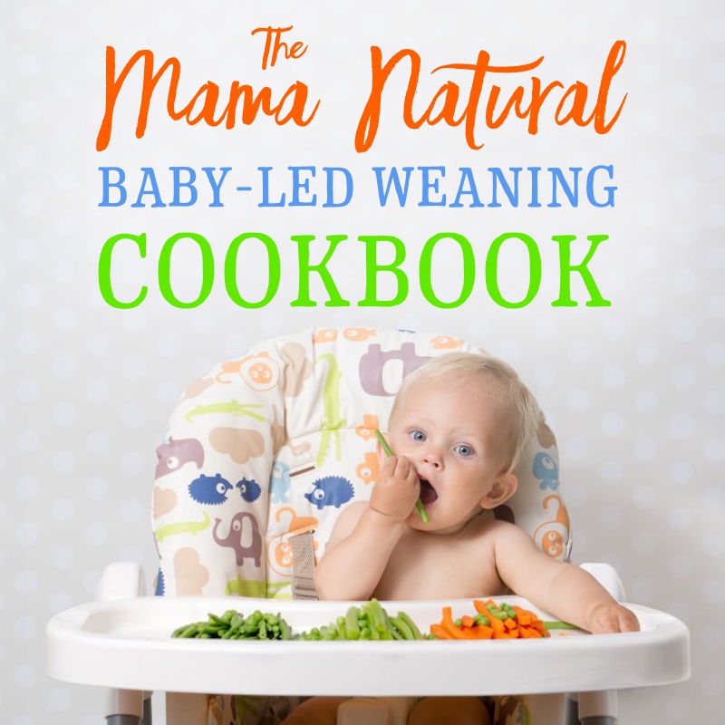 baby led weaning cookbook pdf download