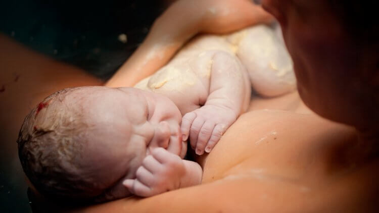 Vernix Don T Wash It Off Rub It In Mama Natural