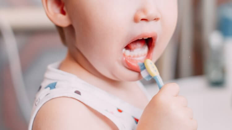 Did you know that your little almost-toothless baby is capable of getting cavities? It's a condition called bottle rot. And you may be surprised to find what the most common culprit is. Read on to learn about bottle rot, what causes it, and how you can prevent it.