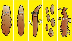 Poop chart - Ever wondered what your poop says about your health? Find out in this post whether your bowl movements are healthy and what you can do for a better poo.