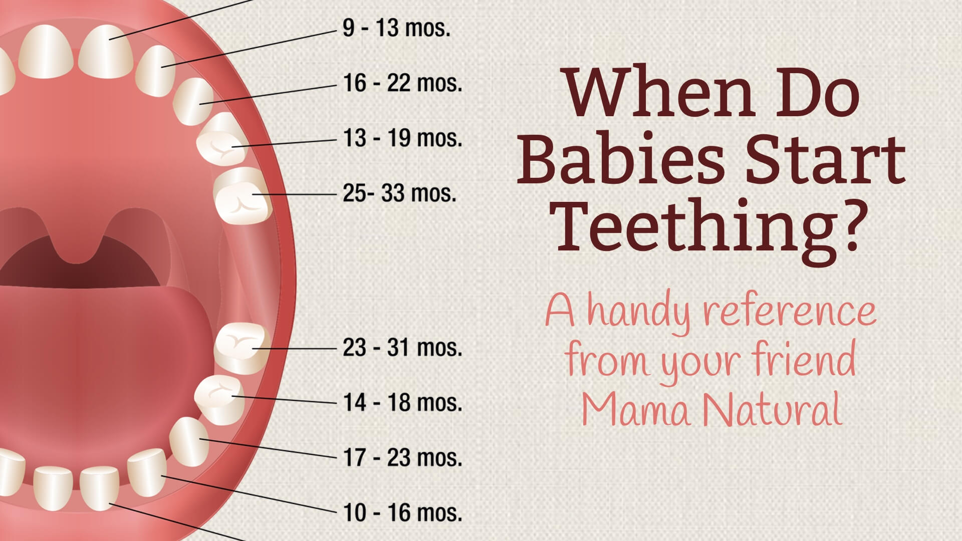 When Do Babies Start Teething? And other baby teething Answers
