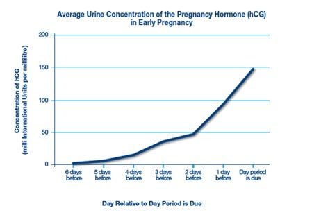 Teste rápido de gravidez - Double-Check & Date - Clearblue - de hCG /  digitais