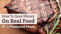 Learn how to save money on grass fed meat in part one of our 5-part series! Discover some new tips and tricks for getting quality meat without going broke.