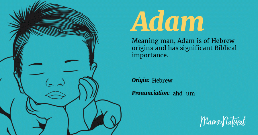 adam name design