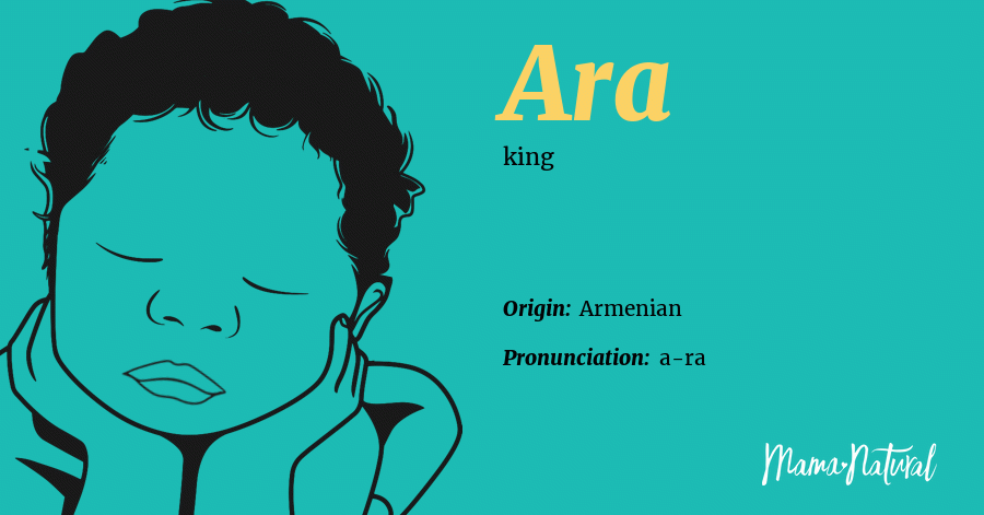 pølse etisk vulgaritet Ara Name Meaning, Origin, Popularity, Boy Names Like Ara - Mama Natural