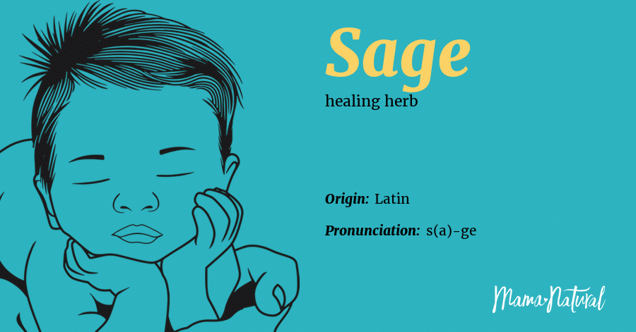 huh Renovering skrot Sage Name Meaning, Origin, Popularity, Boy Names Like Sage - Mama Natural