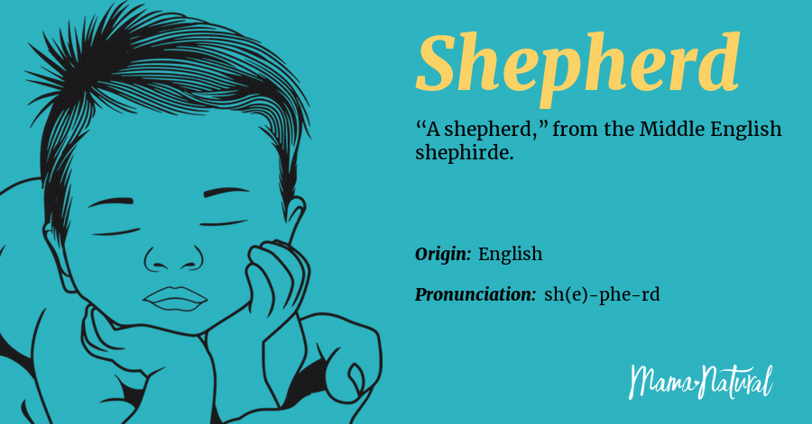 Shepherd Name Meaning, Origin, Popularity, Boy Names Like ...