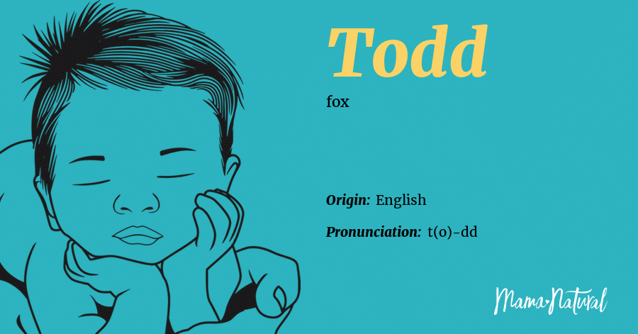Todd Name Meaning, Origin, Popularity, Boy Names Like Todd ...