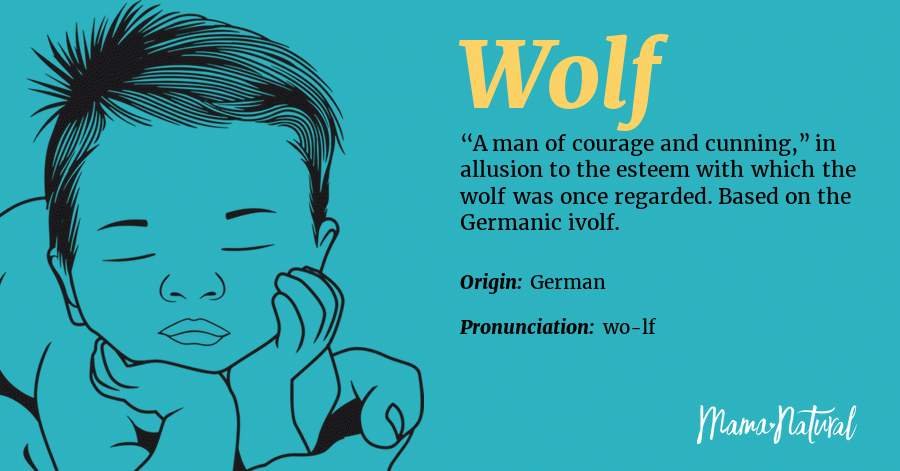 Wolf Name Meaning, Origin, Popularity, Boy Names Like Wolf ...