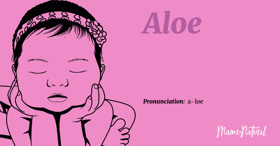 Aloe Name Meaning, Origin, Popularity, Girl Names Like Aloe - Mama Natural